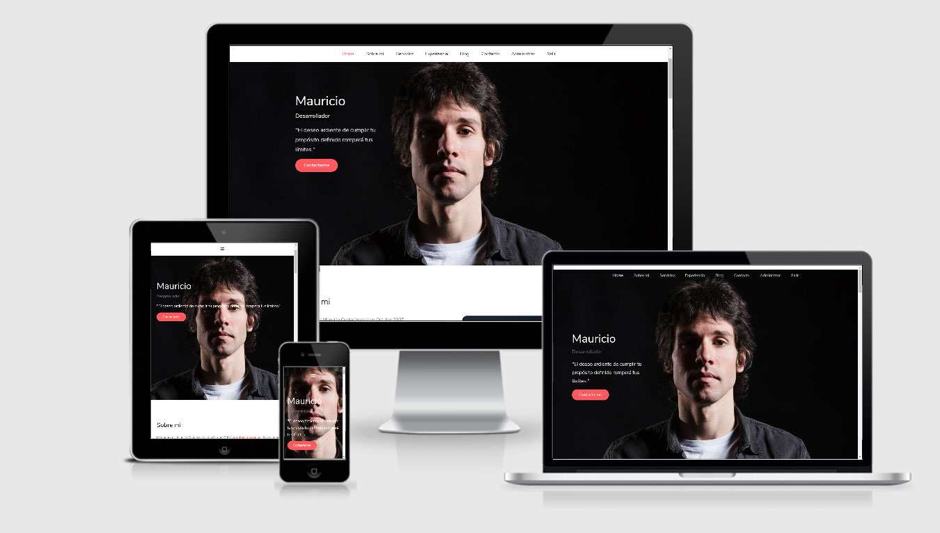 Paginas web responsive, se adaptan a móviles, pc, notebooks. Se ven lindas en cualquier dispositivo