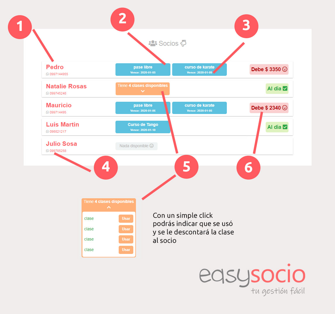 Lo mejor de Easysocio es su simplicidad de uso, realemnte tendrás la información que mas necesitás. 